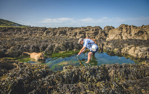 Why you should give seafood foraging a go