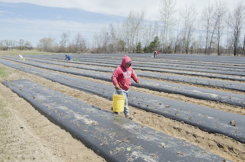 New regulations on migrant farm workers should tackle employer/employee power imbalances