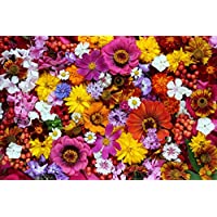 Carbrea 1000-Piece Flowers Jigsaw Puzzle for Adults only $7.50