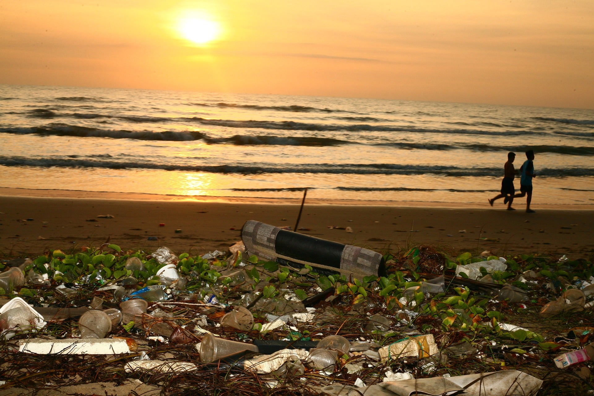 4 Things You Could Do Easily To Reduce Waste