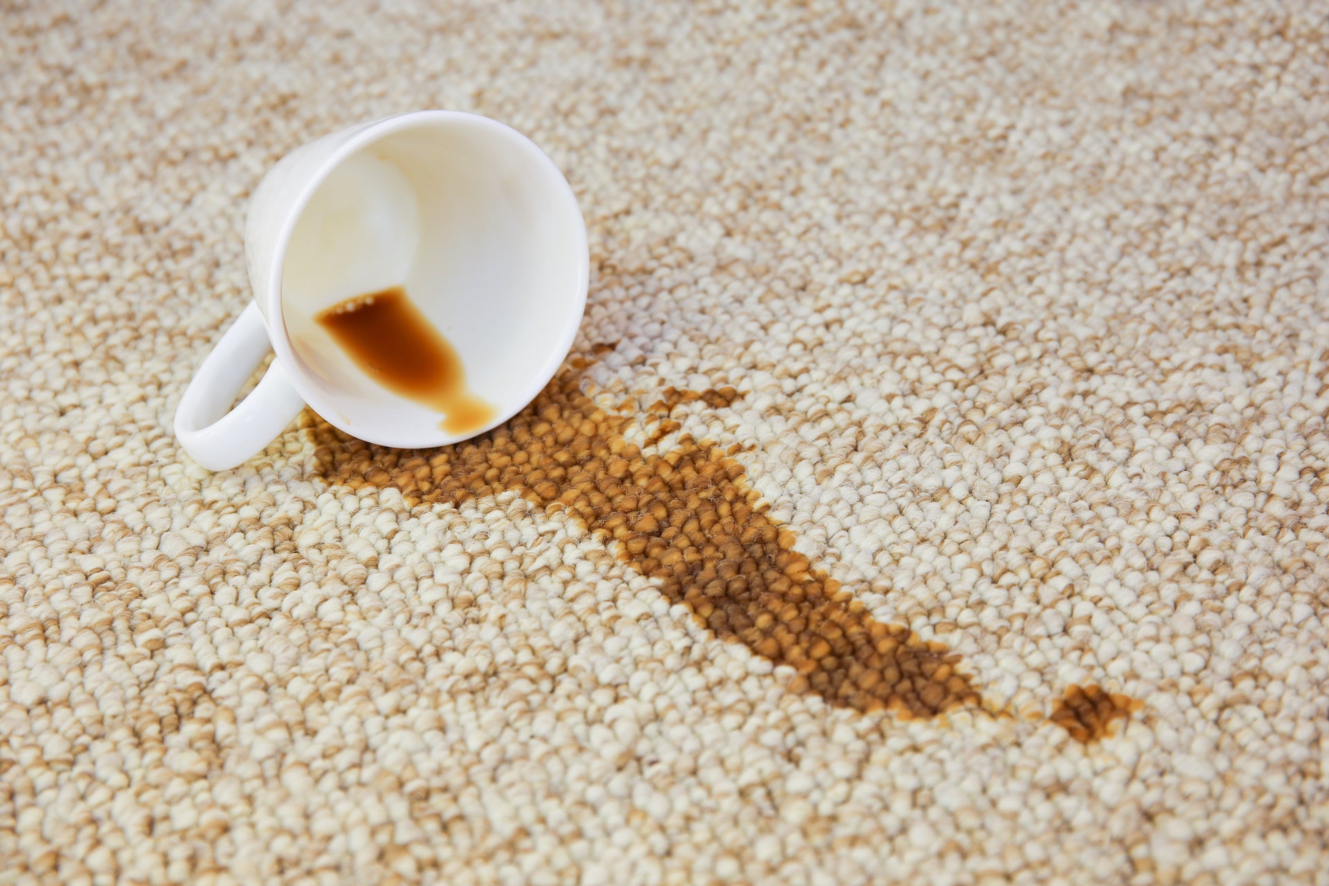 Simple Ways to Cover Carpet in a Rental When You Can’t Tear it Up