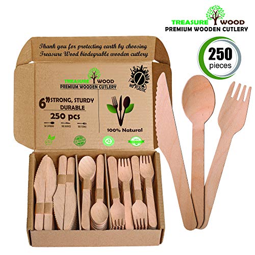 15 Greatest Compostable Utensils – Act One Art