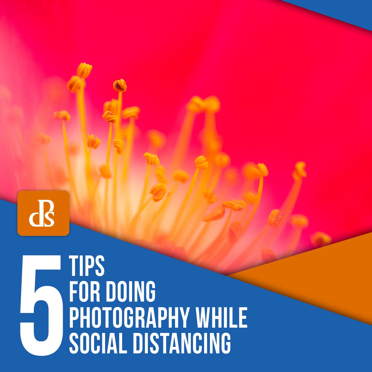 The post 5 Tips for Doing Photography While Social Distancing appeared first on Digital Photography School