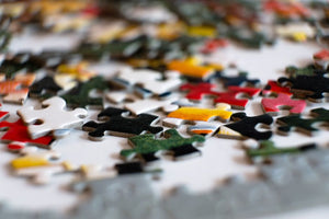 Beautiful jigsaw puzzles for an evening at home