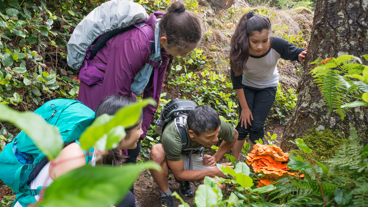 Take a Taste of the Wild Side with These Foraged-Food Adventures