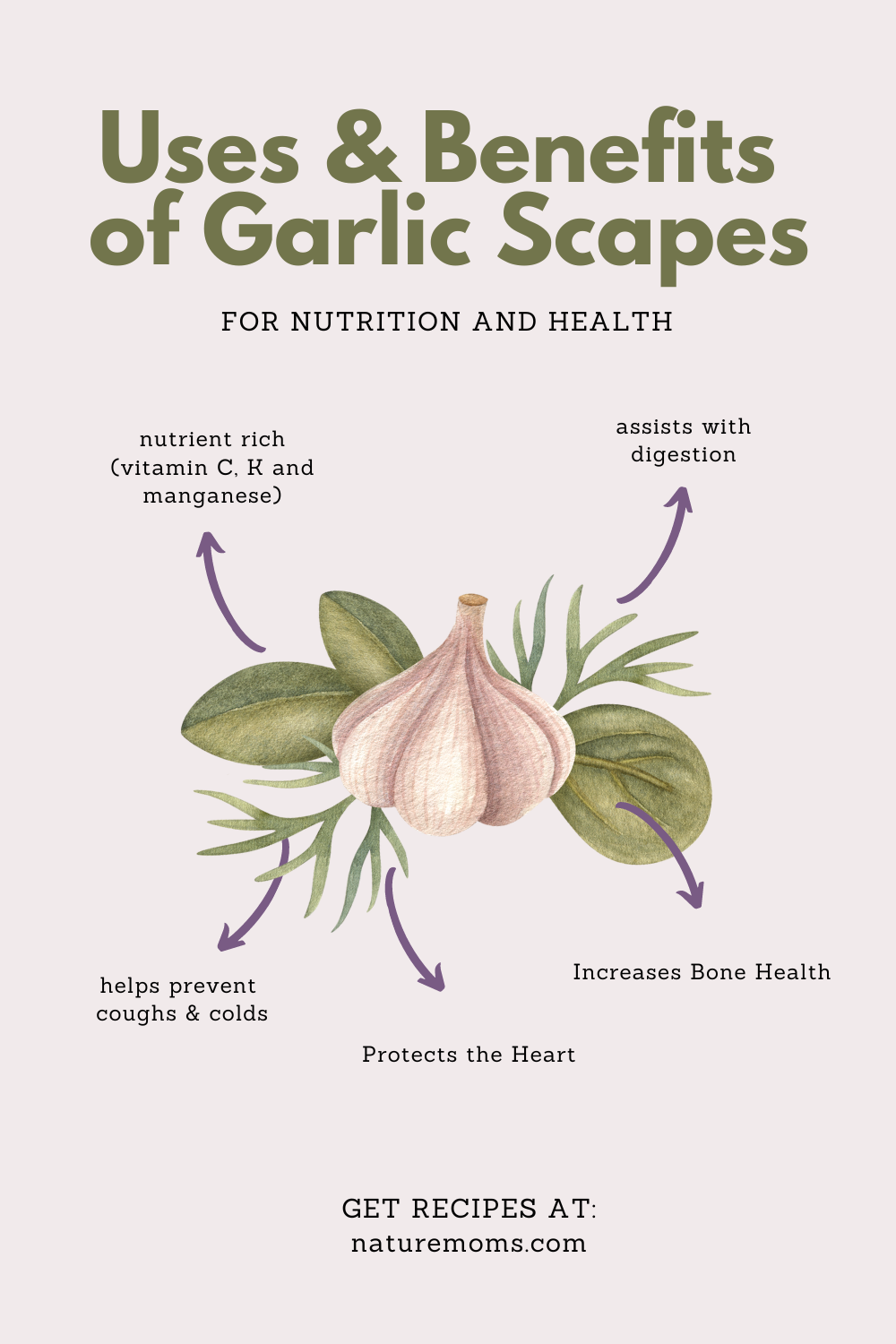 Exploring the Versatile Uses of Galic Scapes