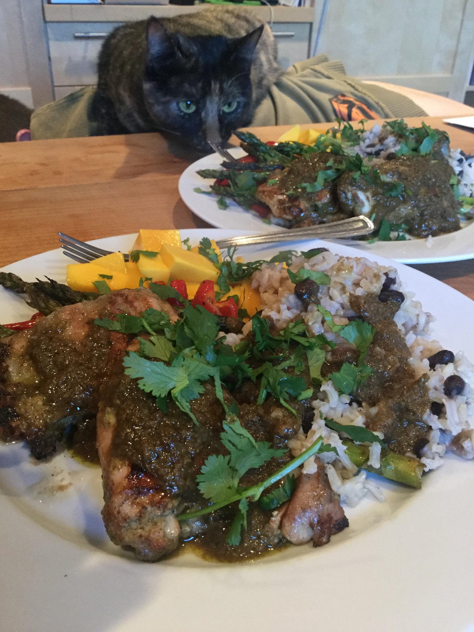 Jerk chicken, dirty rice mango, and bbq asparagus and peppers. Ethel inspection.