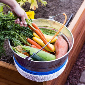 What To Plant In Your Fall Garden — & What To Cook With Your Crop