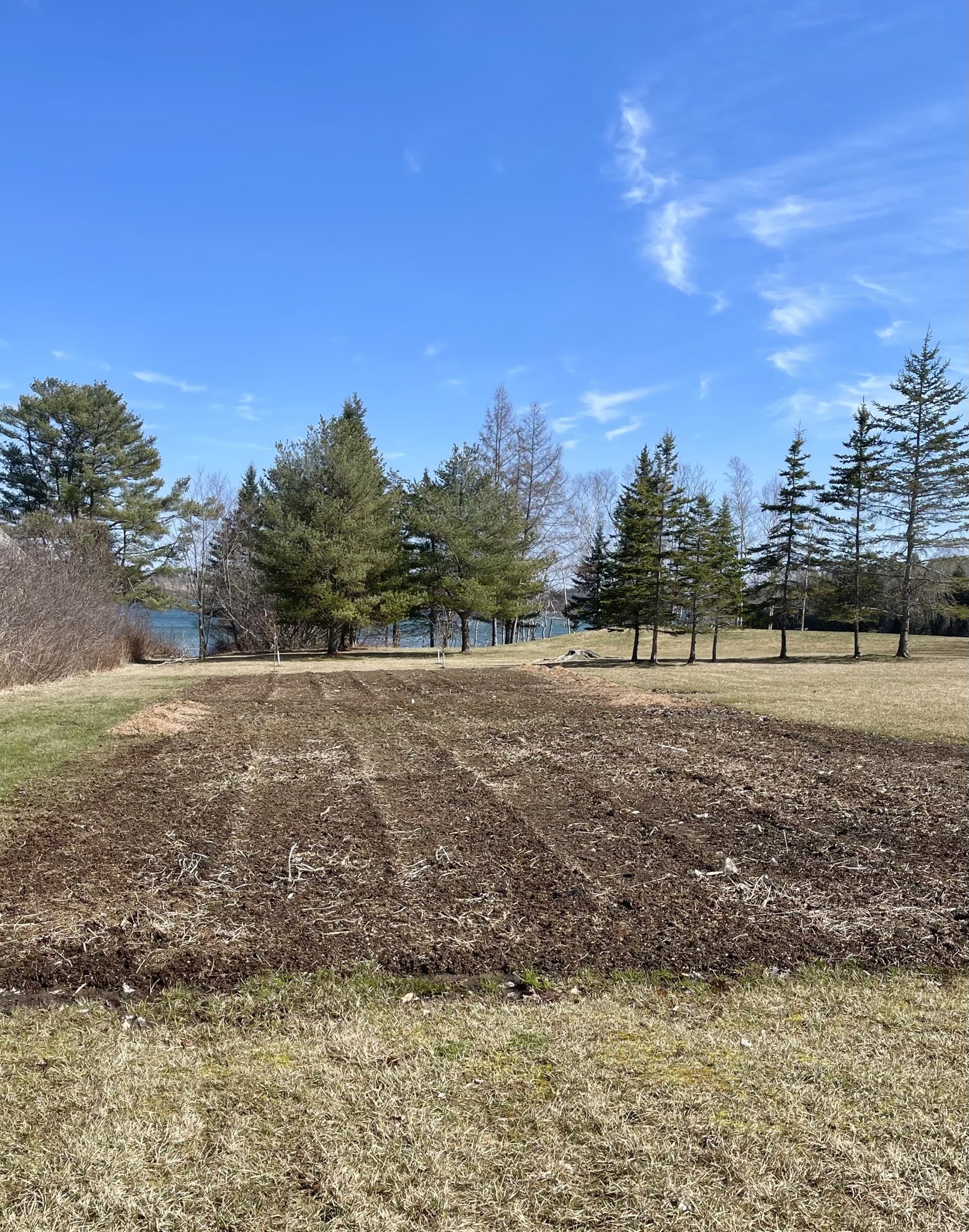 Gardening in Mid Coast Maine {Zone 6a} Mid April