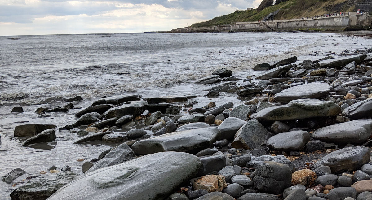 Mary Anning: A Lightning Strike, a Tongue Twister, and a Dinosaur