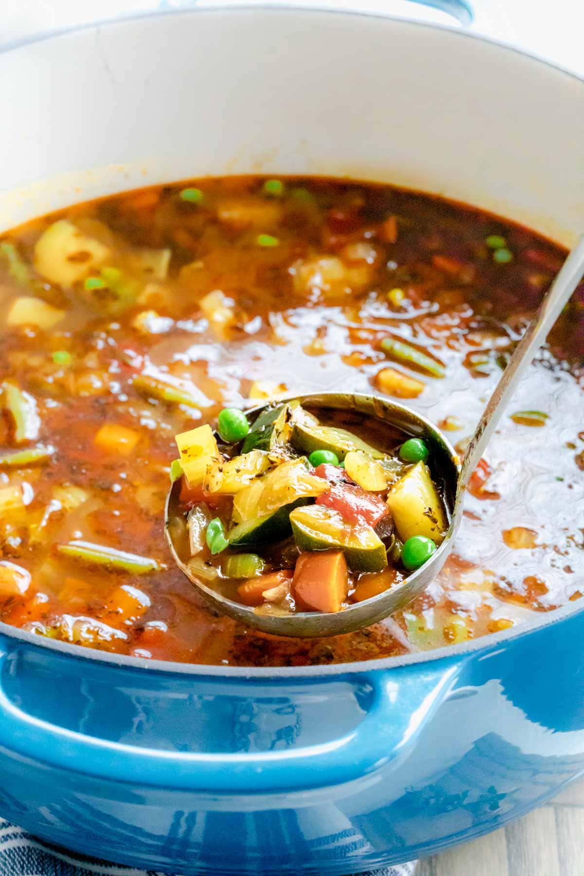 Garden Vegetable Soup