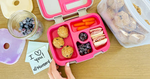 6 Popular Bento Lunchbox Options for All Ages and Meals!