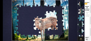 6 Top Jigsaw Puzzle Apps for Android and iOS