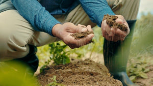 Our Food Is Losing Nutrients. New Mexico Farmers Work to Bring Them Back