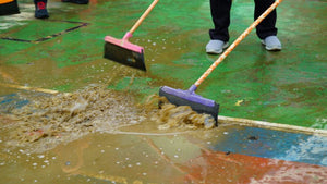 The Return to Normal Cleaning Up After a Flood