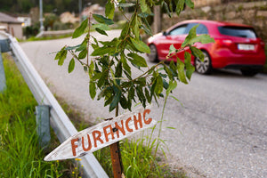 Every Summer, Galician Winemakers Turn Their Homes Into Restaurants