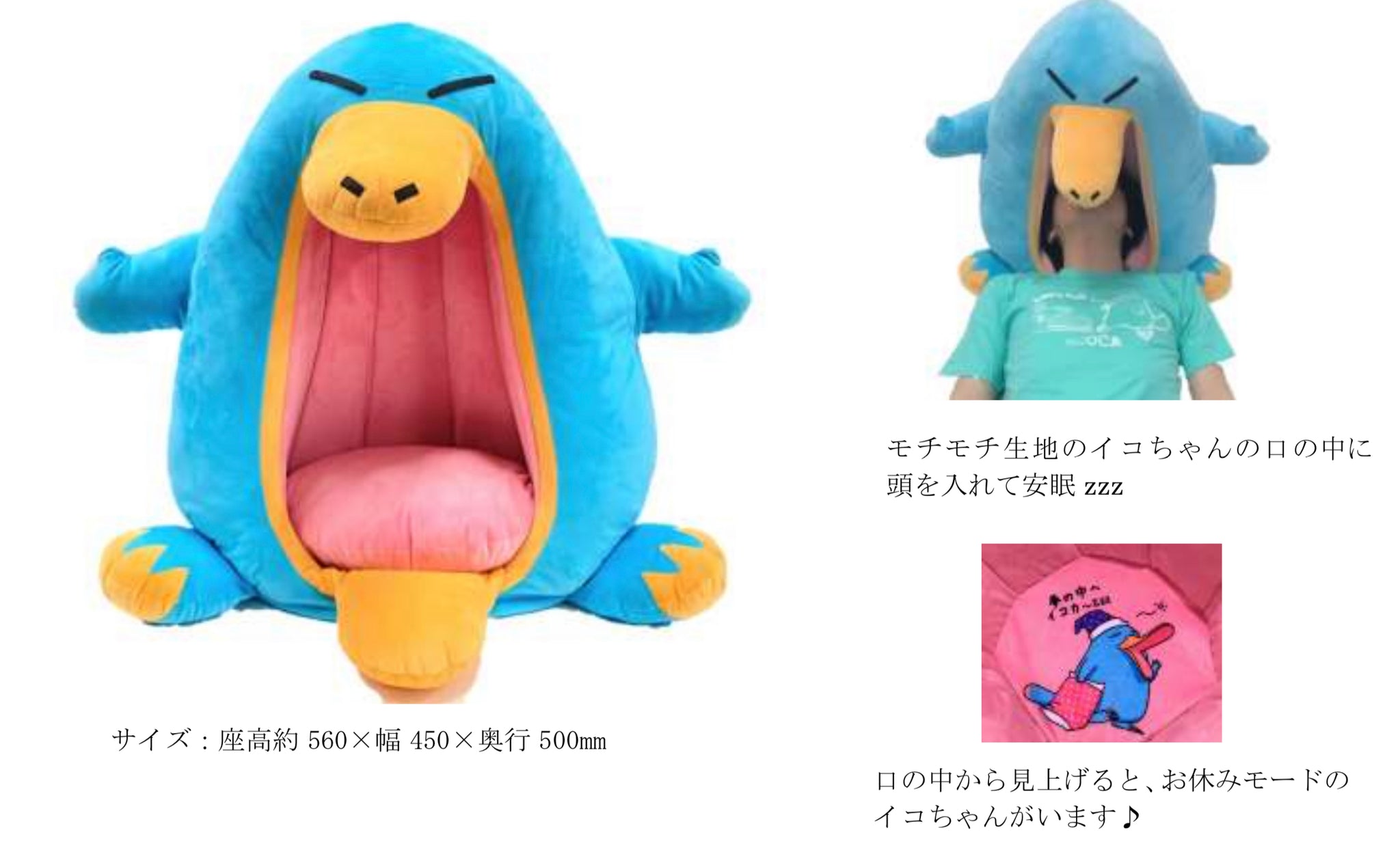Japan Rail West offering chance to sleep in a platypus’ mouth