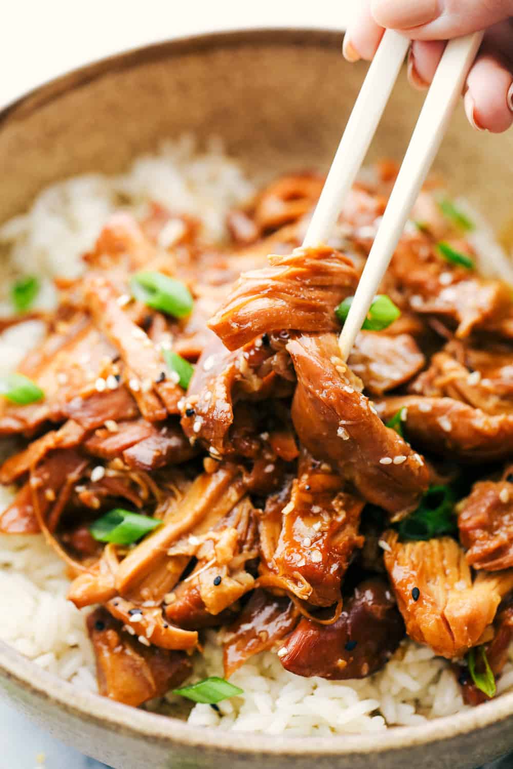 Slow Cooker Honey Garlic Chicken