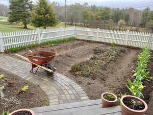 Gardening in Mid Coast Maine {Zone 6a} Late April