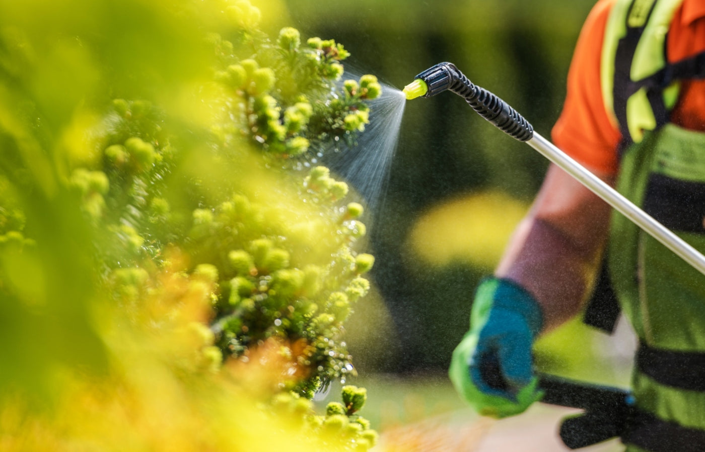 What to know about herbicides before using in your garden