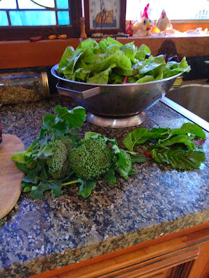 Winter Harvest